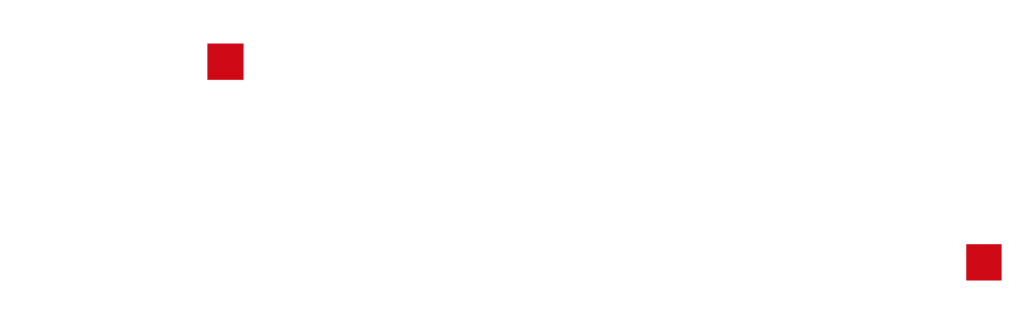 X-DLM